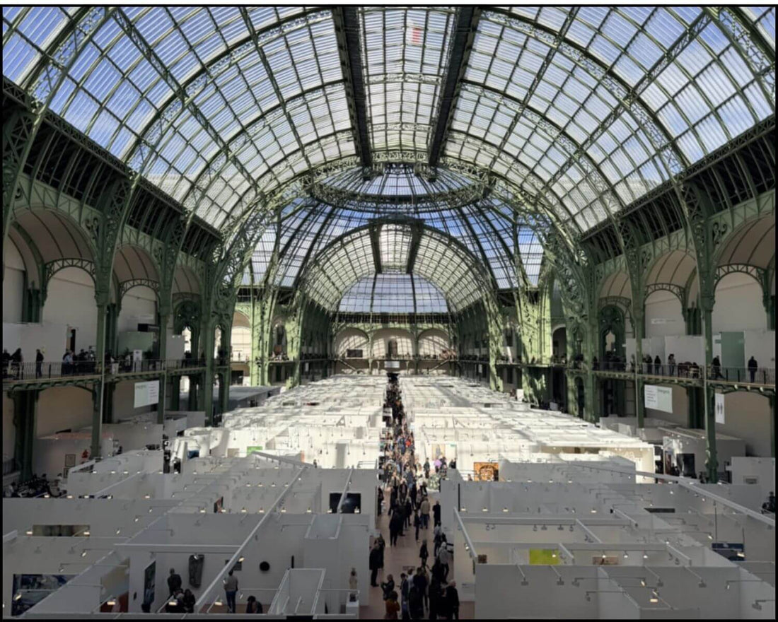 Art Basel Paris 2025: Analisi strategica. Scopri i segnali di mercato per i tuoi investimenti, dai blue chip (Picasso) alle tendenze italiane. Strategia Damiani per la tua collezione.